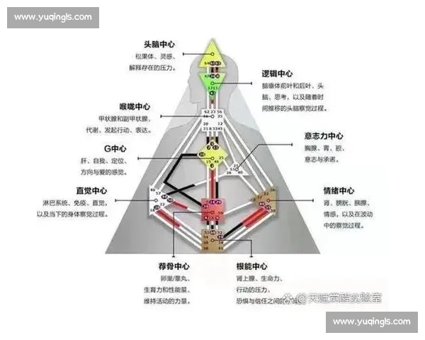 掌握心理优势在复杂环境中提升决策力与行动效率的方法与策略指南