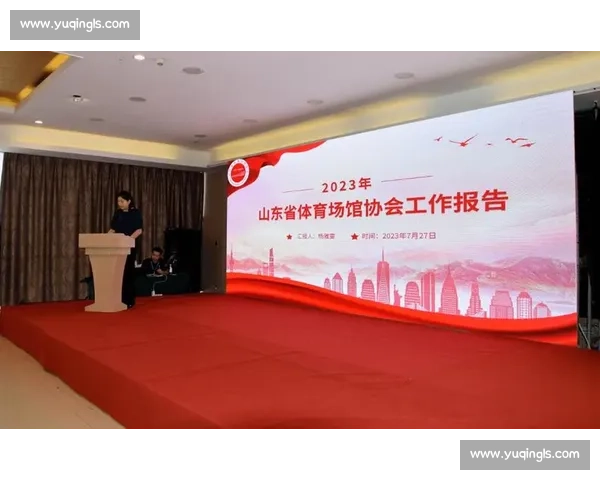 提升体育组织运作效率的策略与管理模式研究探索