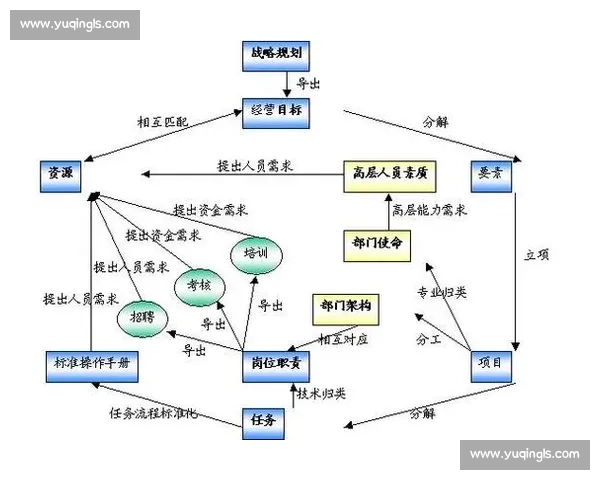 体育组织运作与决策优化的全过程管理体系研究